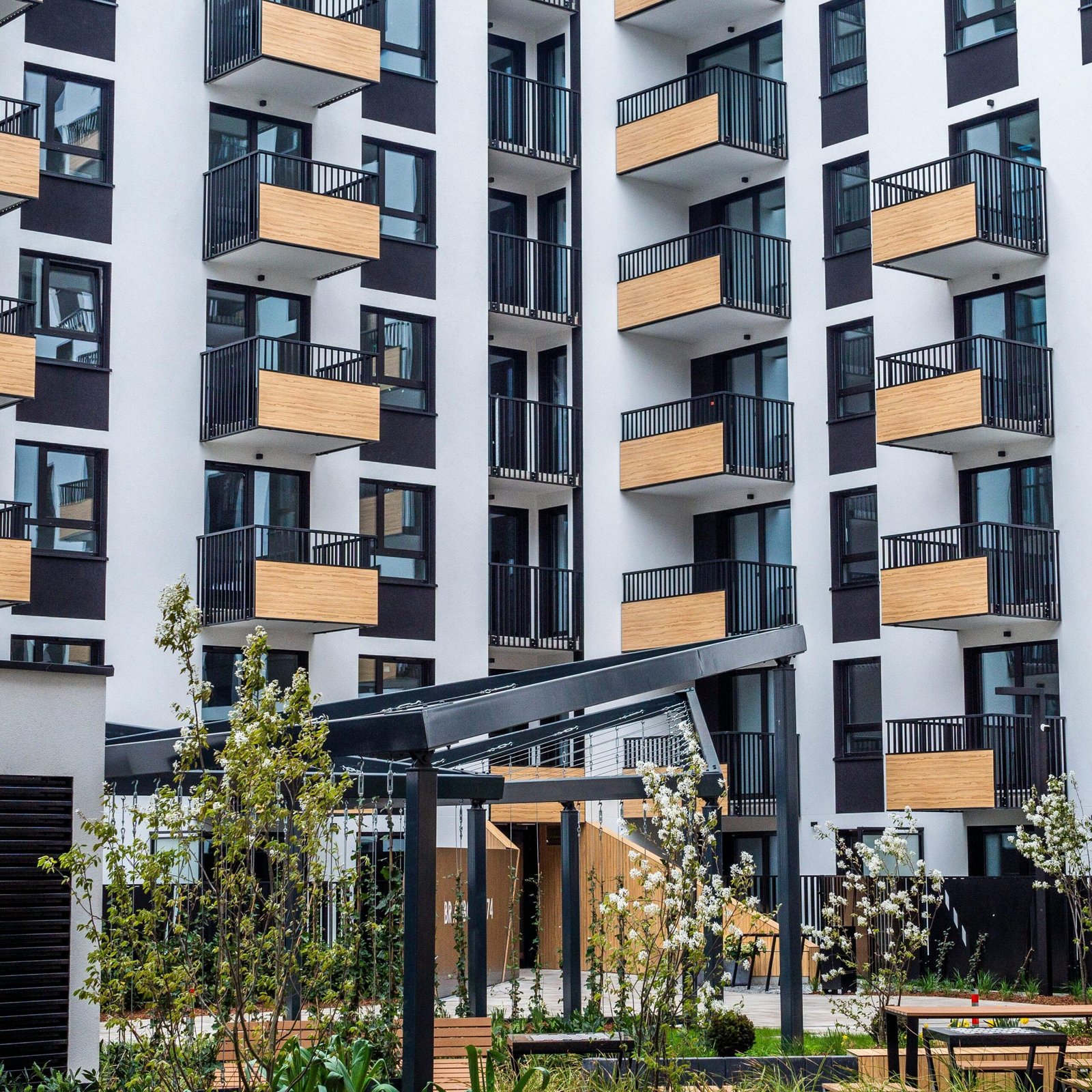 pexels shox 31656172